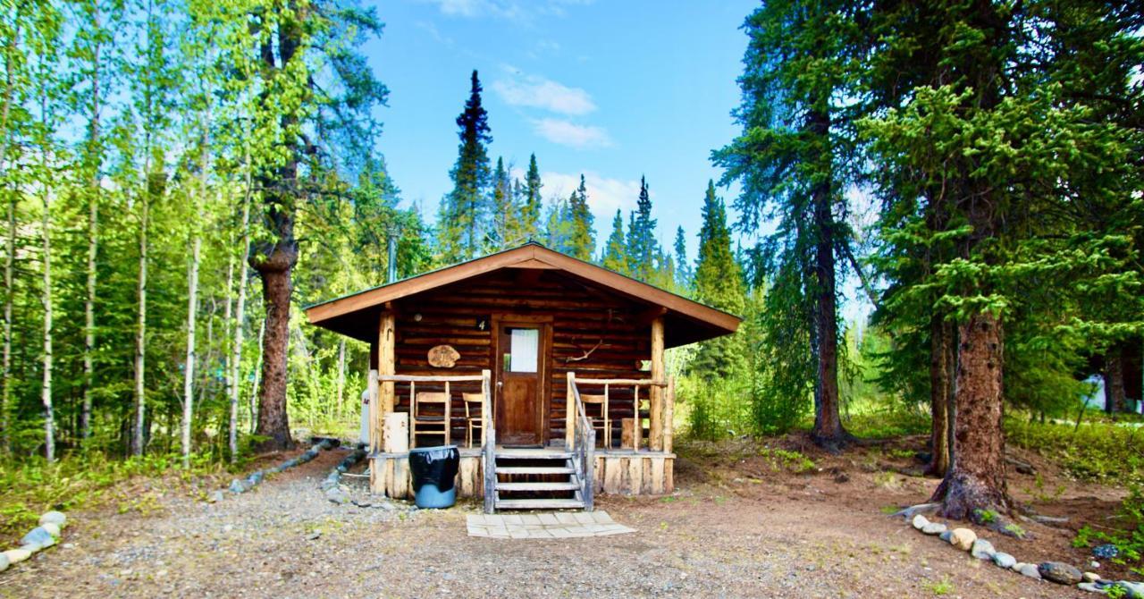 Carlo Creek Cabins Denali Park Exterior foto