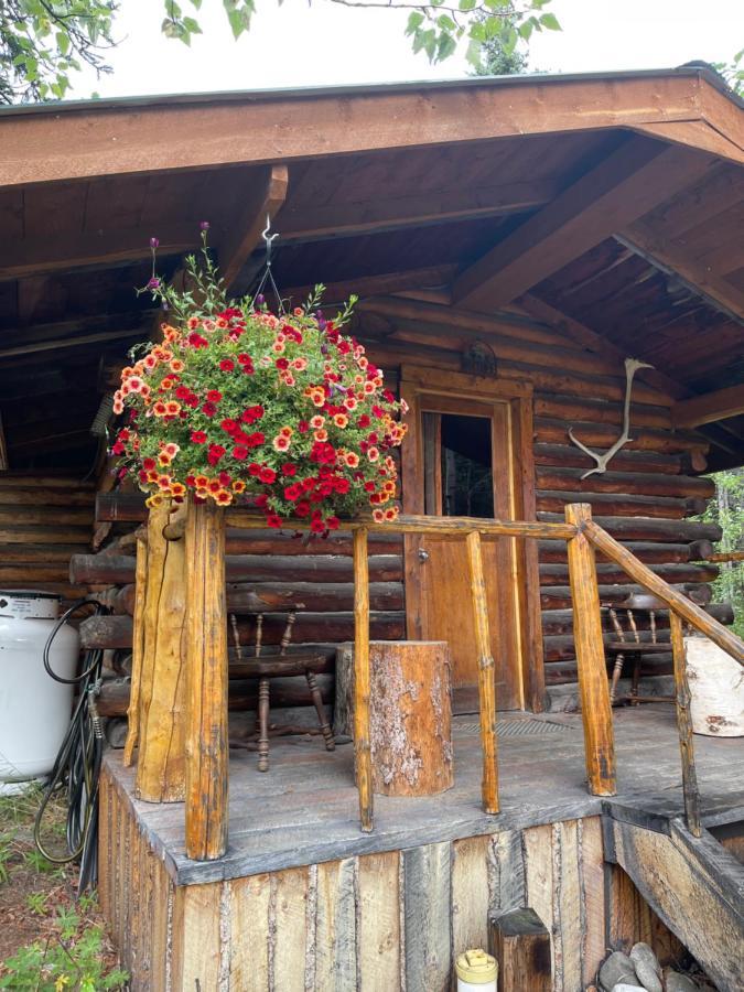 Carlo Creek Cabins Denali Park Exterior foto