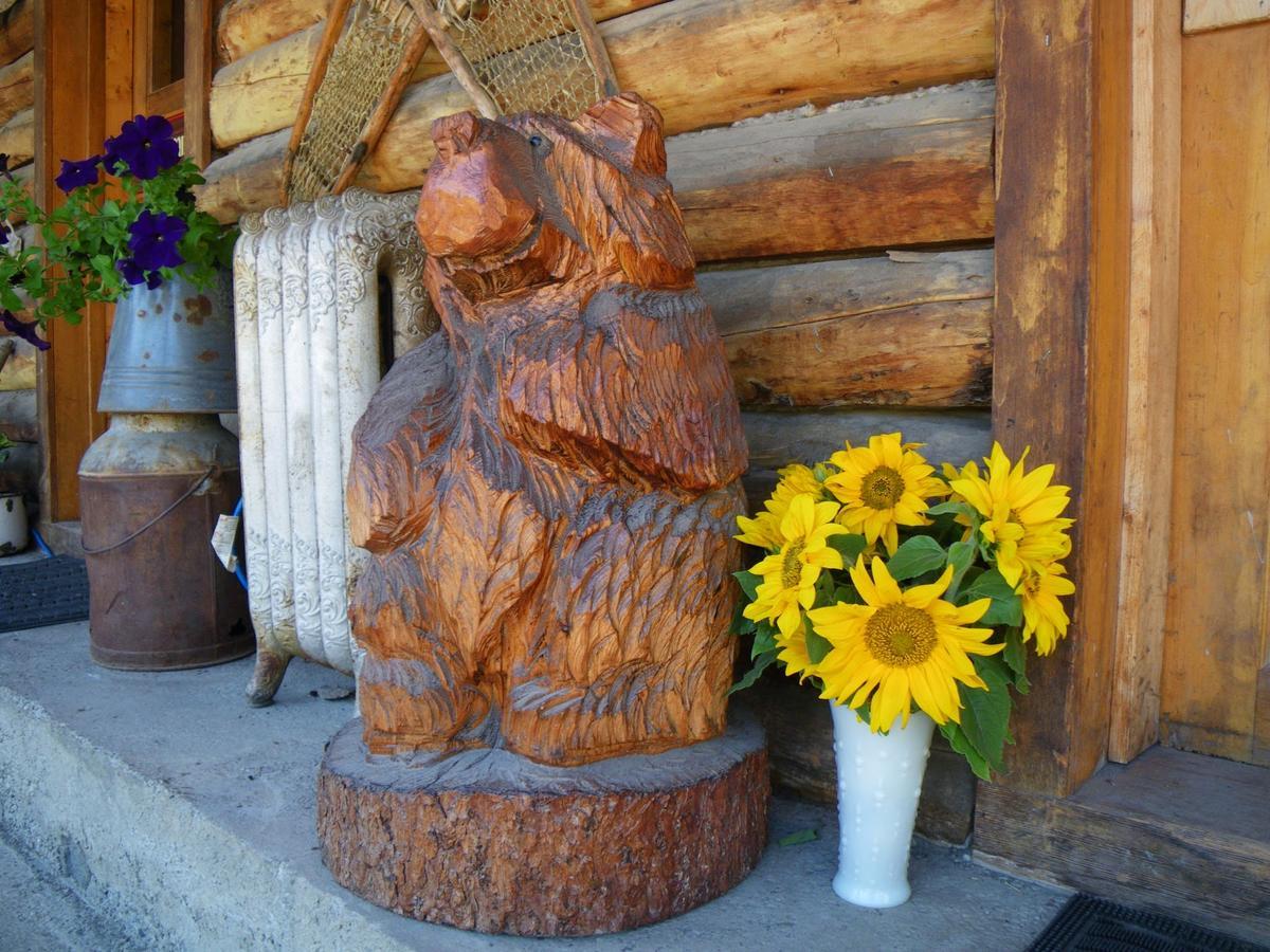 Carlo Creek Cabins Denali Park Exterior foto